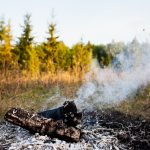 В Татарстане зафиксировано 372 термические точки и 224 возгорания у лесов — лесных пожаров в этом году нет