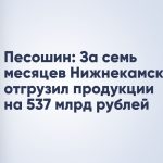 Песошин: За семь месяцев Нижнекамск отгрузил продукции на 537 млрд рублей