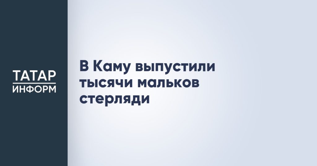 В Каму выпустили тысячи мальков стерляди
