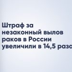 Штраф за незаконный вылов раков в России увеличили в 14,5 раза