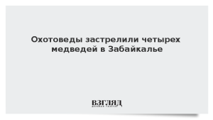 Охотоведы застрелили четырех медведей в Забайкалье