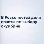 В Роскачестве дали советы по выбору скумбрии