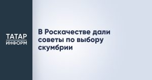 В Роскачестве дали советы по выбору скумбрии