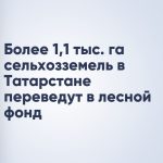 Более 1,1 тыс. га сельхозземель в Татарстане переведут в лесной фонд