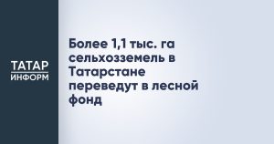 Более 1,1 тыс. га сельхозземель в Татарстане переведут в лесной фонд