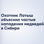 Охотник Латыш объяснил частые нападения медведей в Сибири