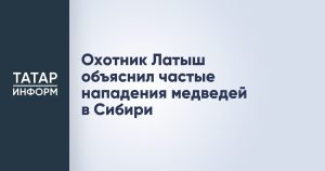 Охотник Латыш объяснил частые нападения медведей в Сибири