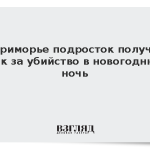 В Приморье подросток получил срок за убийство в новогоднюю ночь