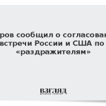 Лавров сообщил о согласовании встречи России и США по «раздражителям»