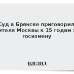 Суд в Брянске приговорил жителя Москвы к 15 годам за госизмену