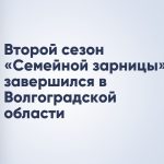 Второй сезон «Семейной зарницы» завершился в Волгоградской области