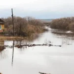 “Тасқын су 1,5 метрге дейін көтерілді”. Түркістан облысында бірнеше елдімекенді су шайды