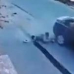 Алматы облысында екі баланы көлік қақты: жүргізуші оқиға орнынан қашып кеткен (видео)
