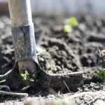 Көкшетауда еден жуушы анасымен бірге жұмысқа барған 4 жасар бала мерт болды