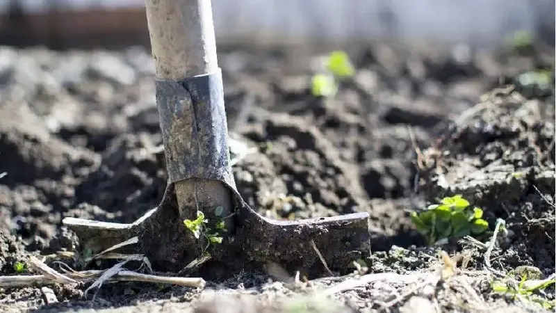 Көкшетауда еден жуушы анасымен бірге жұмысқа барған 4 жасар бала мерт болды
