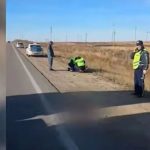 Қостанайда жол жиегінен әйелдің денесі табылды: күдікті ұсталды (видео)