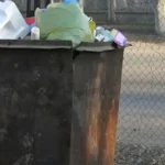 Семейде өз баласын тірідей қоқыс жәшігіне тастаған әке сотталды