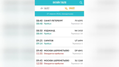 Оранжевый уровень опасности: из-за метели в Казани задерживаются рейсы из Москвы 27/04/2026 – Новости