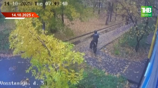 Двойной поворот в деле о покушении: Черкасина отправили в зону СВО, а Шевырева-младшего оправдали