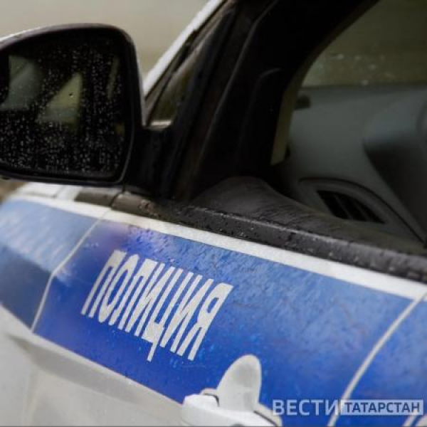 В Татарстане возбудили дело после нападения собаки на 12-летнюю девочку